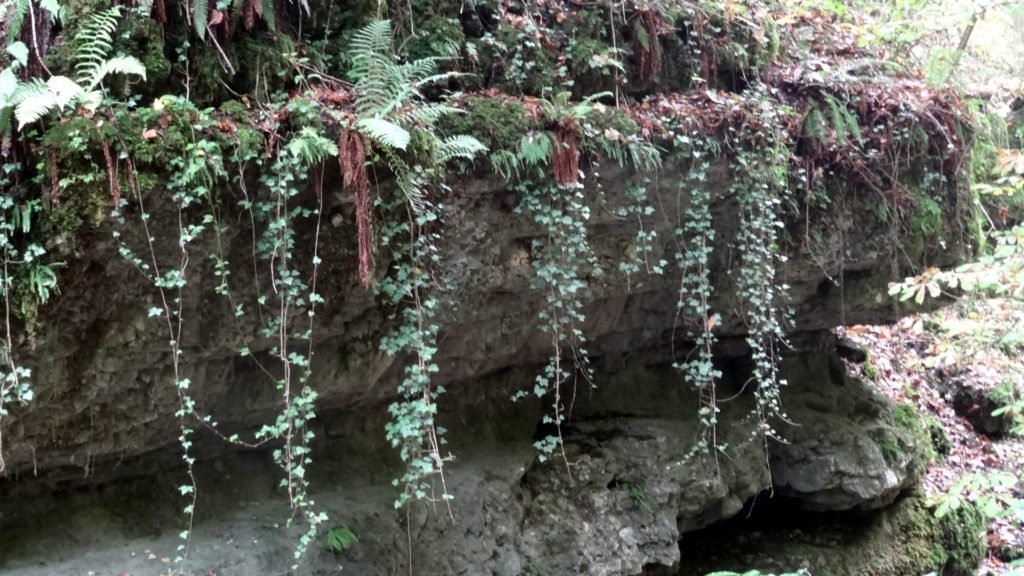Verenaschlucht