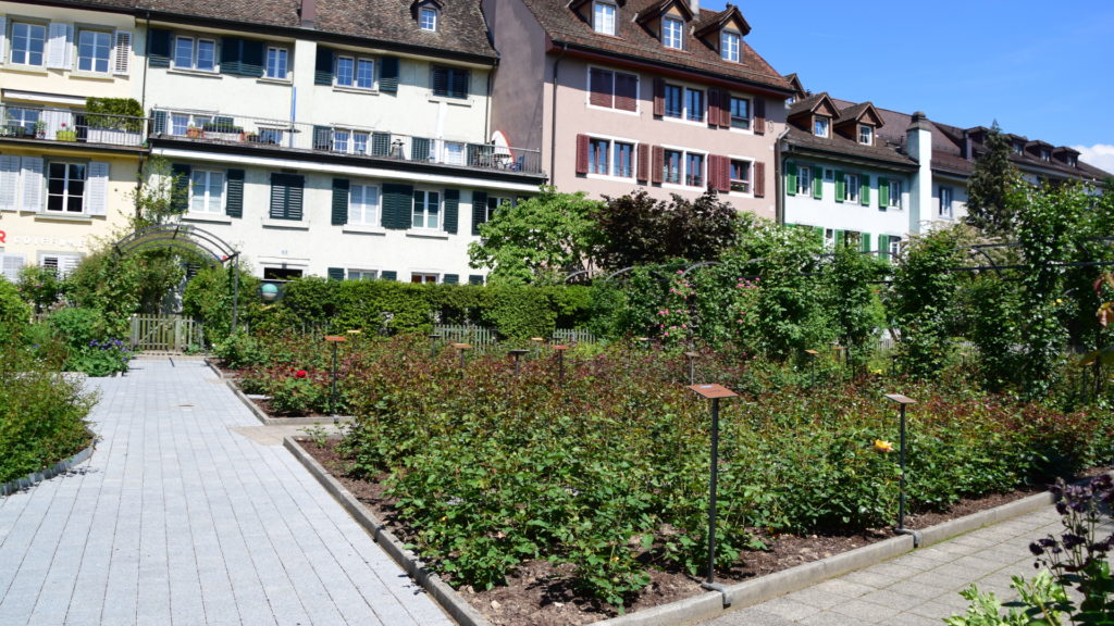 Rosengarten 