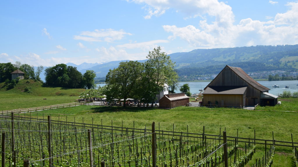 Ein schöner Weg führt rund um die Insel
